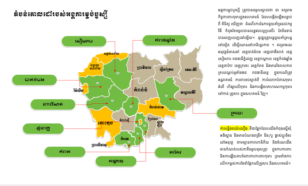 តំបន់គ្របដណ្តប់បណ្តាញអង្គការ